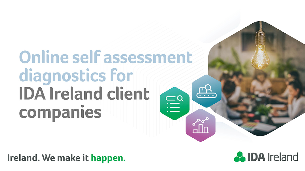 Online self assessment diagnostics for IDA Ireland client companies