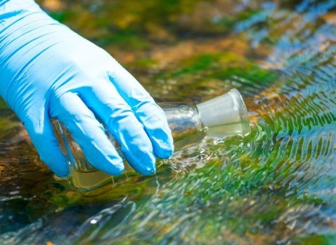 NUI Galway and UCC share most of €10m environmental research funding