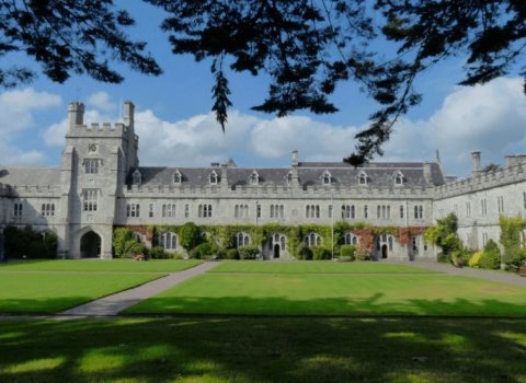 Irish Research Council awards 10 projects €1.6m to address global challenges