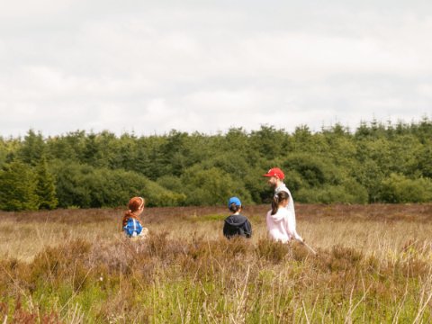 Irish charity joins new EU project to save bees