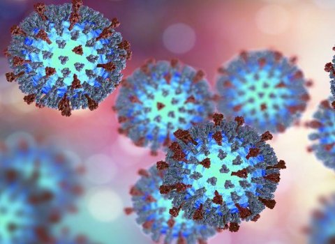 Common cold could be new weapon used to destroy cancer cells