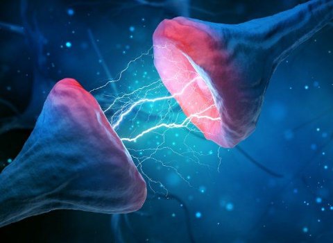 Irish research links brain energy disruption with cases of delirium
