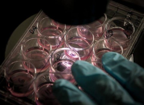 Ireland to get its own dedicated 3D bioprinting lab to grow ‘living’ tissue