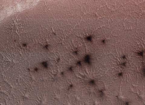 Trinity researchers shed light on the ‘spiders from Mars’
