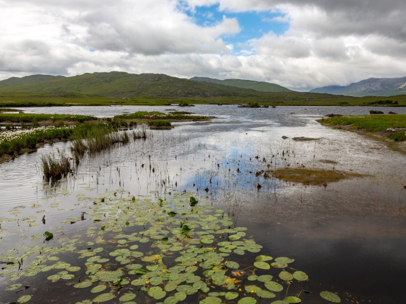 EPA allocates €6.5m to 24 projects in latest research call